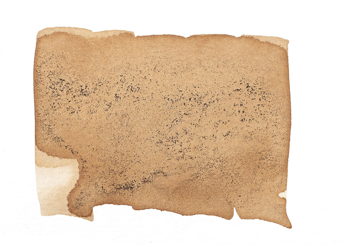 handmade black walnut ink // Sophia Adalaine and Jordan Buzzy