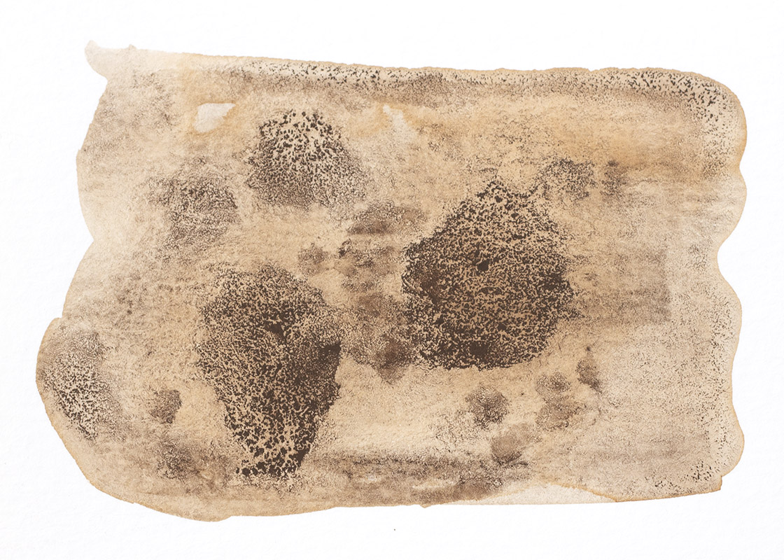 handmade black walnut ink // Sophia Adalaine and Jordan Buzzy