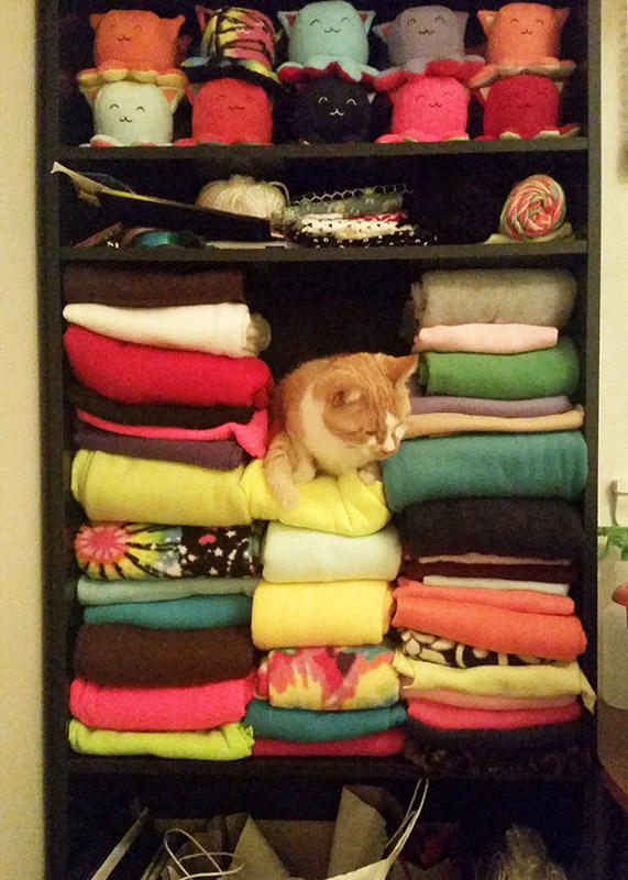 bookshelf of colorful fabric with an orange and white cat sitting in it