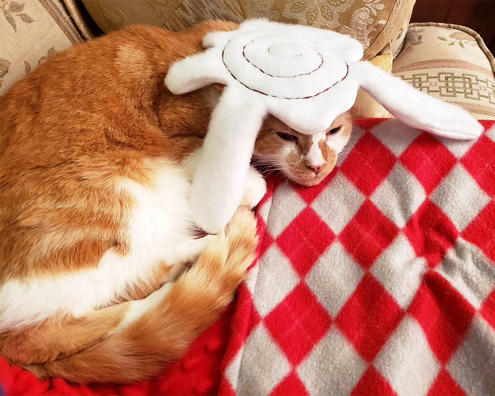 orange and white cat with plushie Cinna-Bun icing on his head