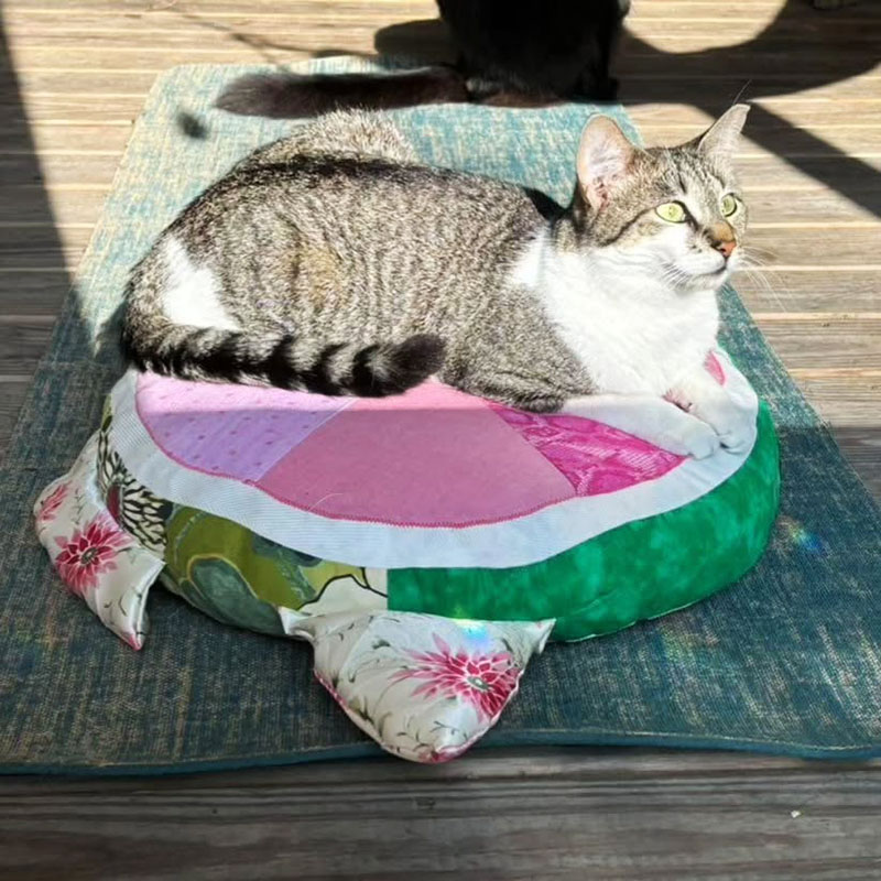 grey and white tabby cat laying on Watermelon Mola Mola plush zafu cushion