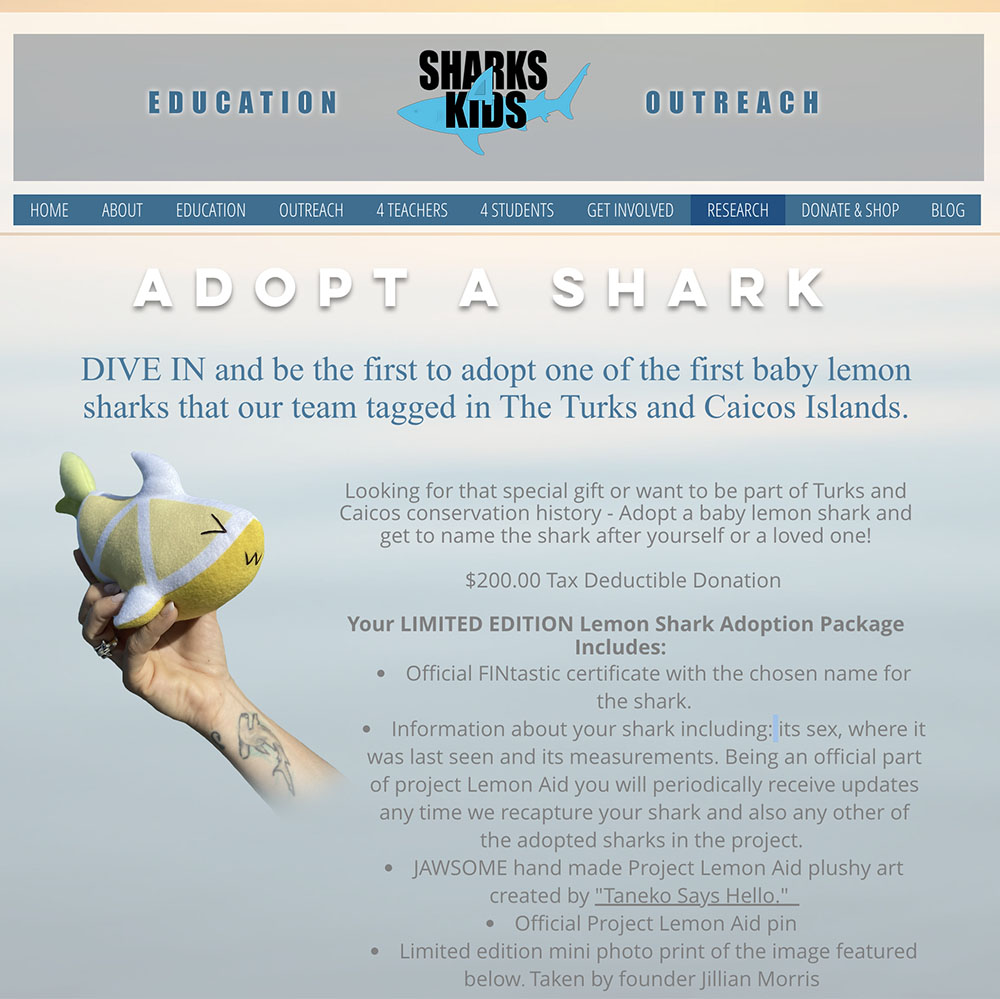 Wholesale handmade Baby Lemon Shark plush toys by Taneko Says Hello for Sharks4Kids