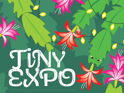 Freelance art and design work // Sophia Adalaine Zhou