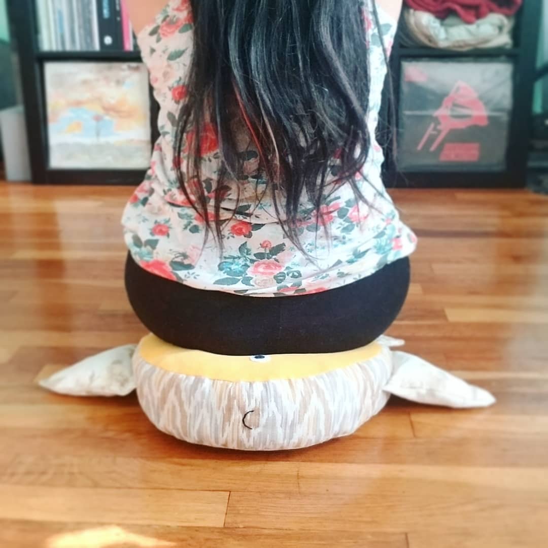 Sunfish Zafu cushion handmade by Sophia Adalaine