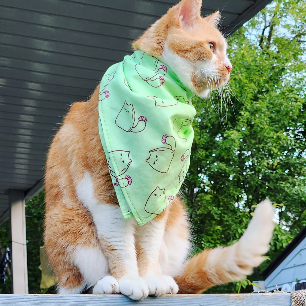 Cactus Cat bandana // Sophia Adalaine at Taneko Says Hello